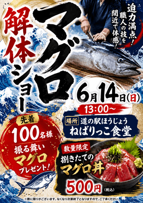 鳥取県産マグロの解体ショー