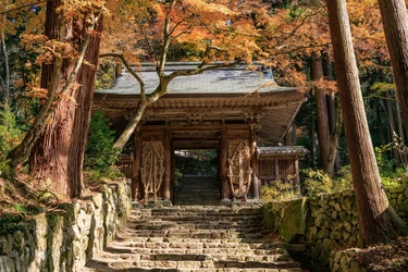 秋季特別展「百済寺と近江の仏教美術―百済寺秘仏公開によせて―」を9月26日（土）より開催 