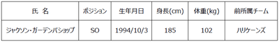 新加入選手