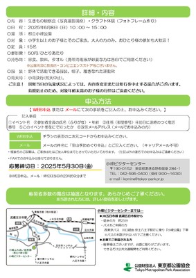 チラシ裏