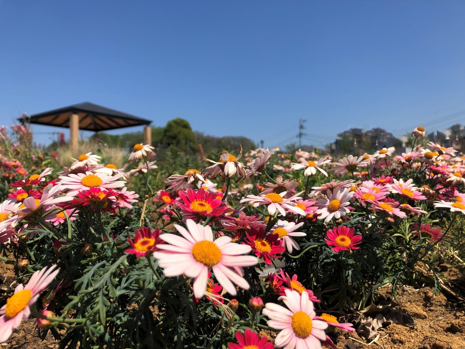GWの5月3日(水・祝)には、開園記念イベントを開催します。ぜひご来園ください!