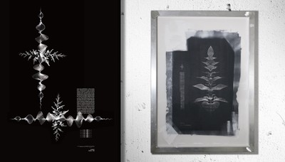 PromPlant(R) - HeartBeat Series