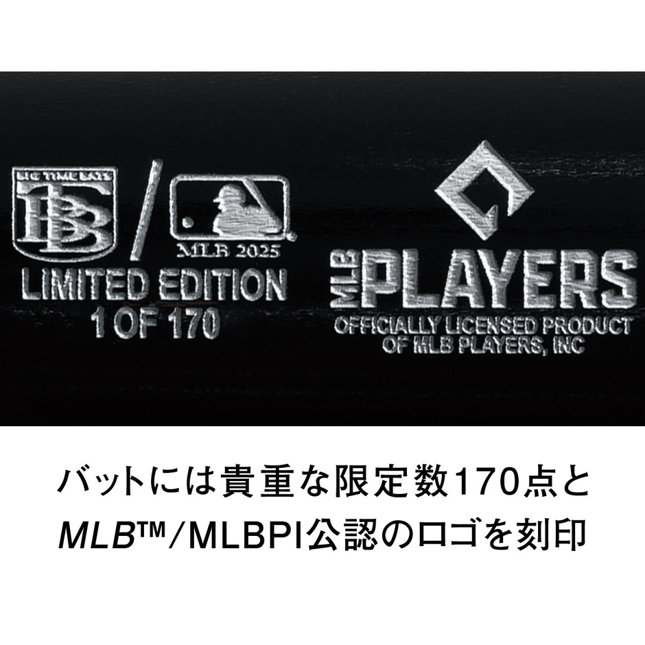 大谷サインバット説明