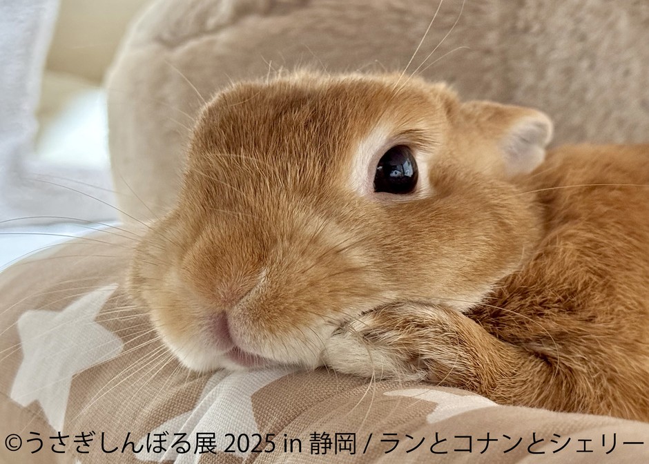 うさぎしんぼる展 展示作品4