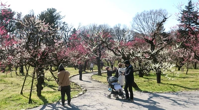2/14～神代植物公園にて「春の催し」を開催します