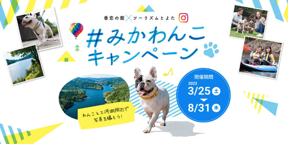 #みかわんこ