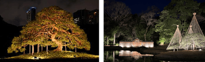 ライトアップされた小石川後楽園の風景（過去開催の様子）