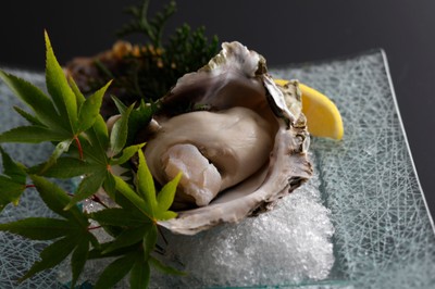 【旬のひと品｜夏一例】日本海が育んだ、濃厚な夏の一雫。「丹後の海 育成岩がき」