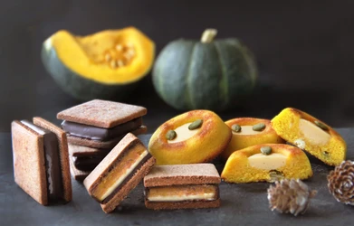 長野県クラフトチョコレートブランド 「信州ショコラトリーGAKU」より ハロウィン限定かぼちゃスイーツが今年も登場！