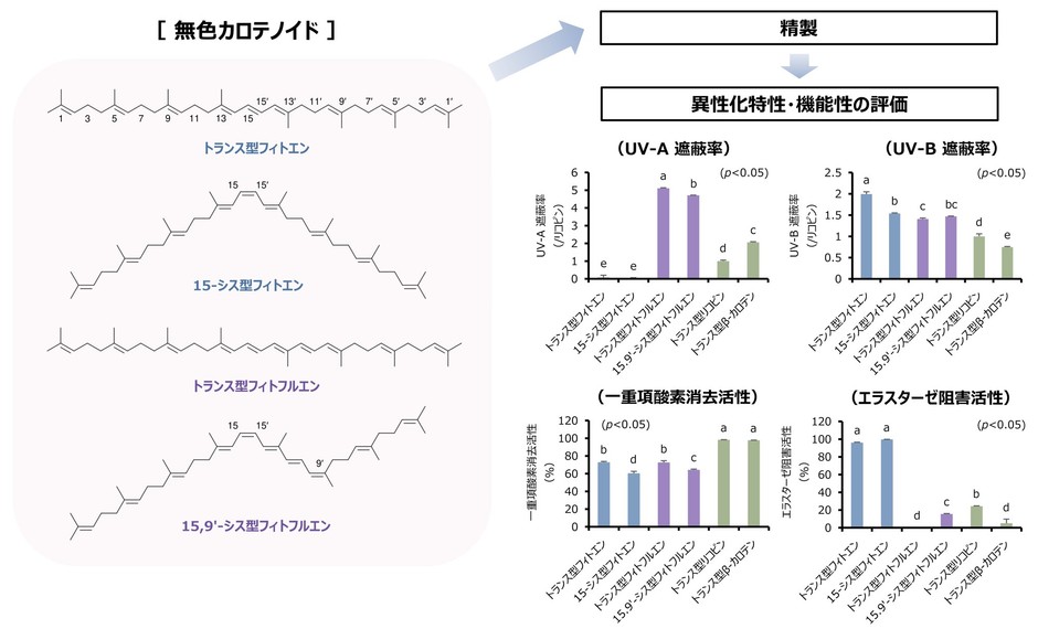 図1:フィトエンならびにフィトフルエン異性体の化学構造と機能性