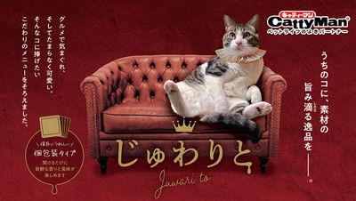 じゅわりとシリーズ新発売