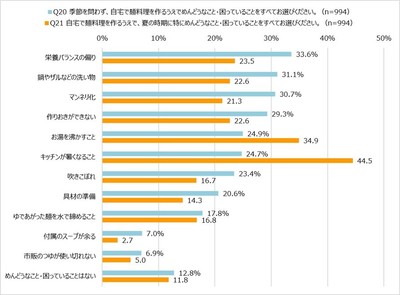 Q20 自宅で麺料理を作るうえでめんどうなこと・困っていること
