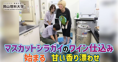 【岡山理科大学】マスカットシラガイのワイン仕込み始まる／甘い香り漂わせ