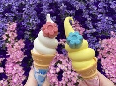 フードメニュー1