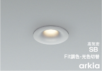 arkia ダウンライト(アルミダイカスト・ブライトシルバー塗装)