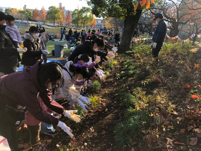 2021年植え付けの様子