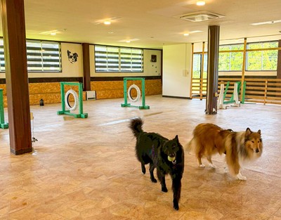 大型犬でも走り回れる広さ