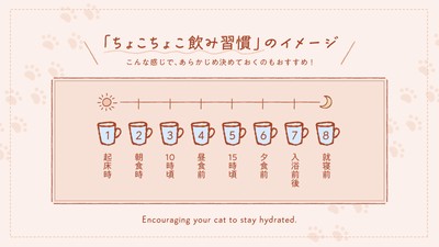 「ちょこちょこ飲み習慣」のイメージ