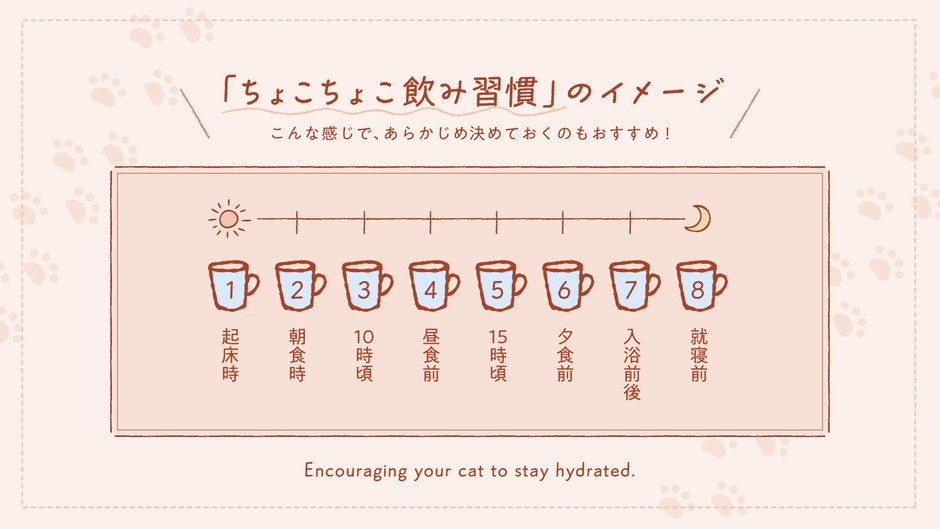 「ちょこちょこ飲み習慣」のイメージ