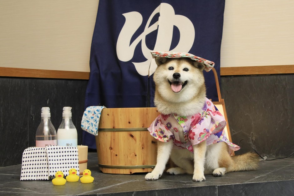 屋内フォトスポット