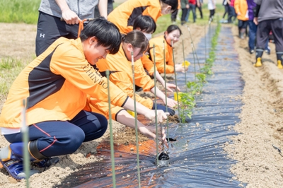 多品目野菜を育てる山田農園「一の坊ファーム」で、植え付け体験をする新入社員