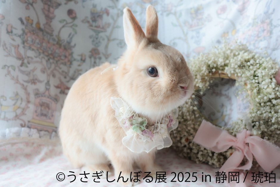 うさぎしんぼる展 展示作品5