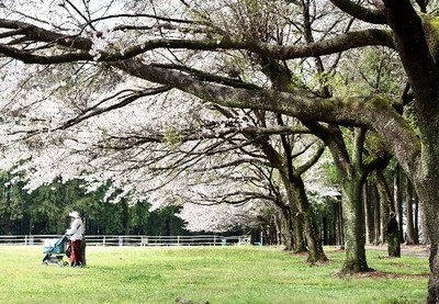千本松テラス
