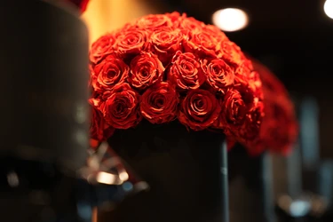 薔薇と音楽が結んだ「ROSE FOR PEACE」銀座から国宝・瑞龍寺へ