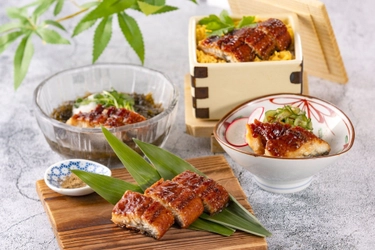 【福岡サンパレス ホテル＆ホール】博多の街と海を望む『旬菜和食 銀河』で味わう夏限定会席「鰻香」｜2026年7月1日提供開始