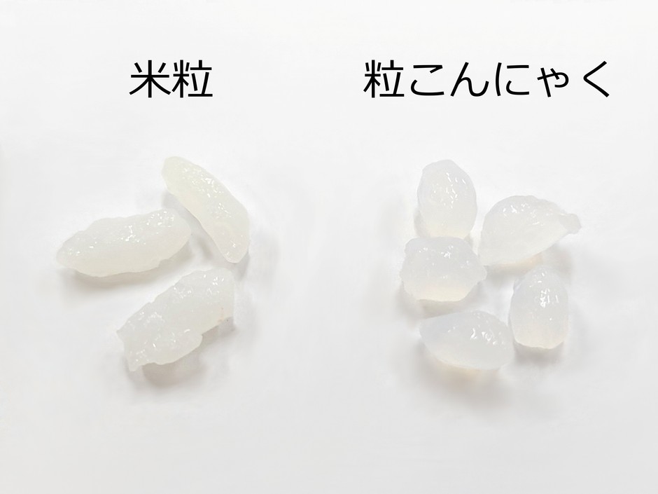 米粒　粒こんにゃく