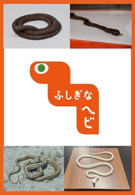 動態展示「ふしぎなヘビ」