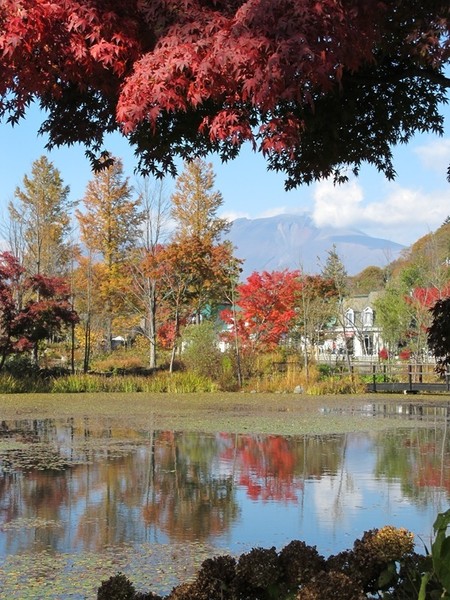 紅葉浅間山を望む