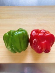 信州の伝統野菜「ぼたんこしょう」オンライン料理体験【長野県中野市】