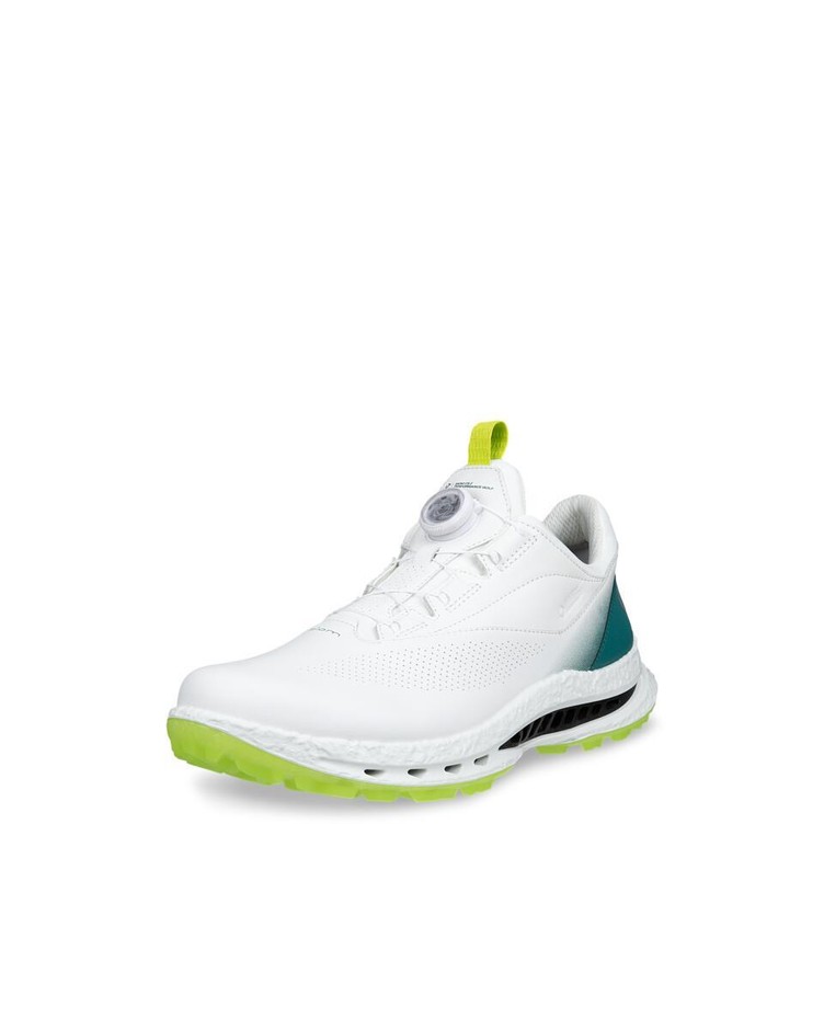 GOLF BIOM C5 BOA