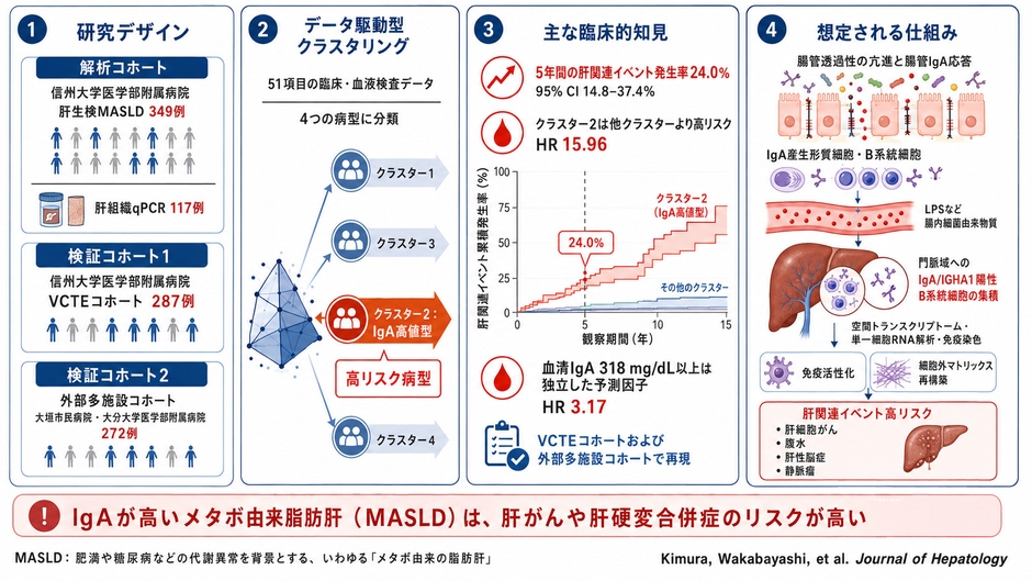 図1 研究の全体像(論文Graphical Abstract)
