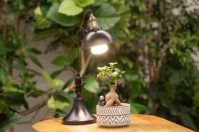 「Well-light」_2 