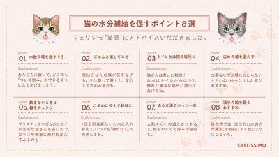 猫の水分補給を促すポイント8選
