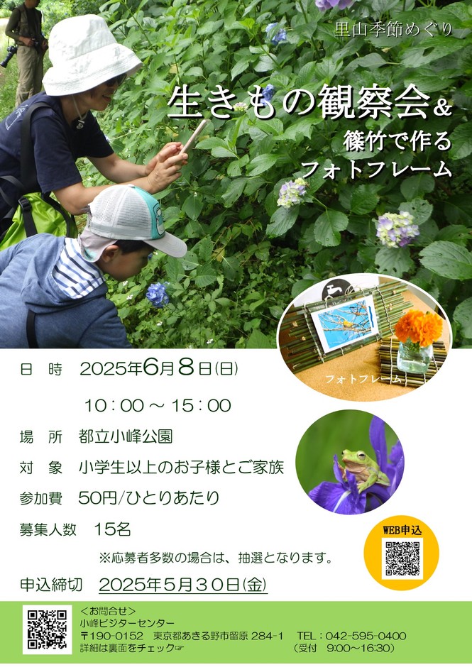 チラシ表