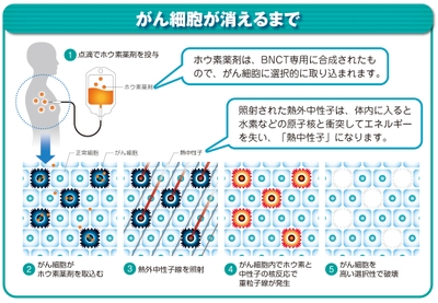 京都大学複合原子力科学研究所 提供