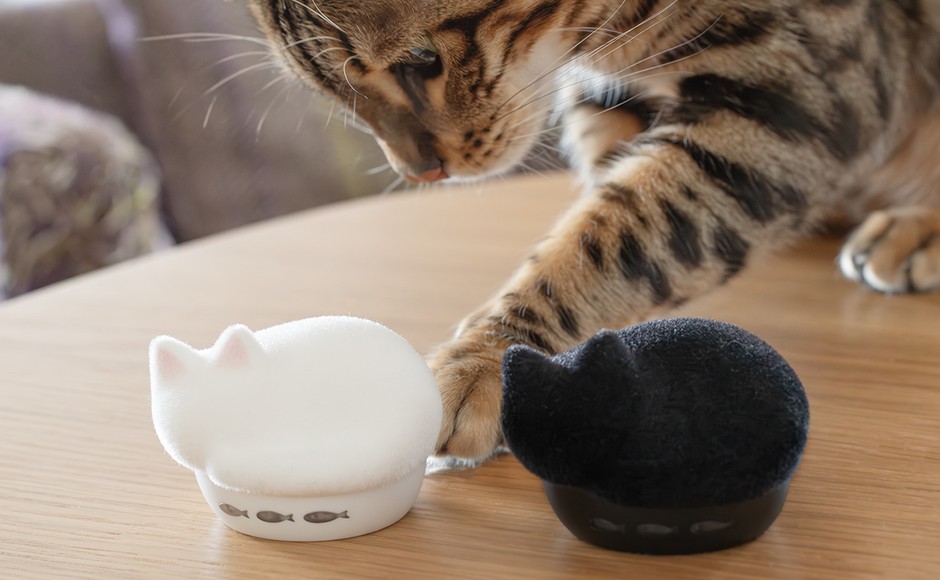 15_HP-C28BTF_猫とNEKO_3