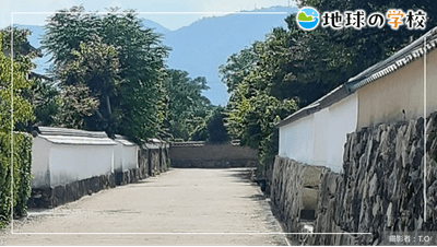 地球の学校ブログ_萩の伝統的建造物と夏みかん