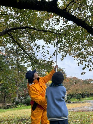 さくらに関する体験型イベント(令和7年11月2日の様子)