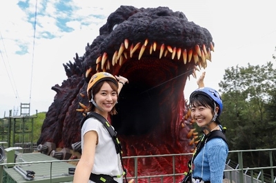 TM & © TOHO CO., LTD.