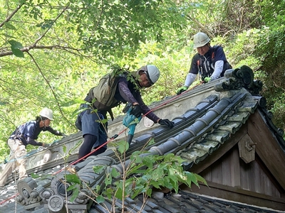 屋根の日活動写真1
