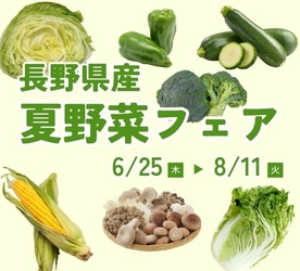 ～夏の食卓を彩る！高原の気候が育んだ夏野菜をお届け！～
和牛焼肉 信州そだちで「長野県産夏野菜フェア」を６月２５日（木）～８月１１日（火・祝）まで開催