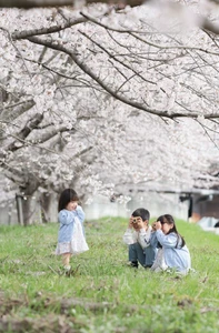 兵庫県三田市で「さんだ桜まつり2026」を4月4日(土)開催！ ～ 桜が織りなす「三田さくら物語」で春を彩る特別な体験を ～