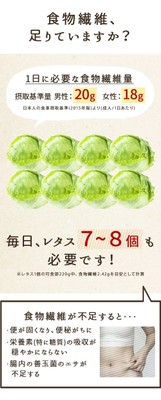 ランディングページ5