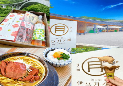 道の駅 伊豆月ケ瀬について