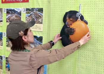 周南市徳山動物園「獣医さんの全力解説・お片づけ・持ってけ体験！！」開催
