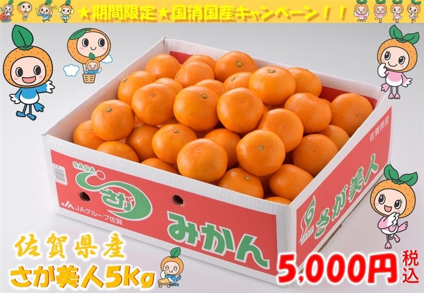 さが美人 約5kg
